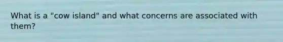 What is a "cow island" and what concerns are associated with them?