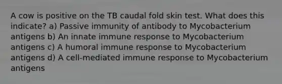 A cow is positive on the TB caudal fold skin test. What does this indicate? a) Passive immunity of antibody to Mycobacterium antigens b) An innate immune response to Mycobacterium antigens c) A humoral immune response to Mycobacterium antigens d) A cell-mediated immune response to Mycobacterium antigens