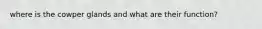 where is the cowper glands and what are their function?