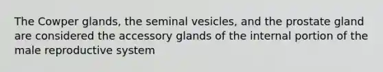 The Cowper glands, the seminal vesicles, and the prostate gland are considered the accessory glands of the internal portion of the male reproductive system