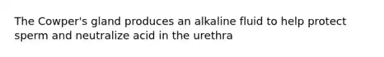 The Cowper's gland produces an alkaline fluid to help protect sperm and neutralize acid in the urethra