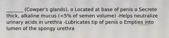 _______ (Cowper's glands), o Located at base of penis o Secrete thick, alkaline mucus (<5% of semen volume) -Helps neutralize urinary acids in urethra -Lubricates tip of penis o Empties into lumen of the spongy urethra