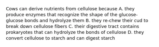 Cows can derive nutrients from cellulose because A. they produce enzymes that recognize the shape of the glucose-glucose bonds and hydrolyze them B. they re-chew their cud to break down cellulose fibers C. their digestive tract contains prokaryotes that can hydrolyze the bonds of cellulose D. they convert cellulose to starch and can digest starch