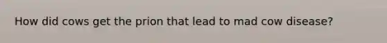 How did cows get the prion that lead to mad cow disease?