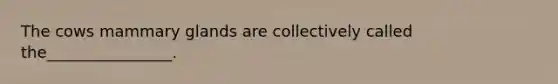 The cows mammary glands are collectively called the________________.
