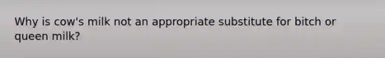 Why is cow's milk not an appropriate substitute for bitch or queen milk?
