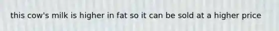 this cow's milk is higher in fat so it can be sold at a higher price