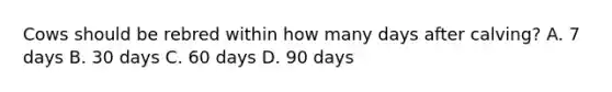 Cows should be rebred within how many days after calving? A. 7 days B. 30 days C. 60 days D. 90 days