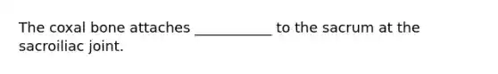 The coxal bone attaches ___________ to the sacrum at the sacroiliac joint.