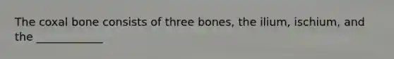 The coxal bone consists of three bones, the ilium, ischium, and the ____________