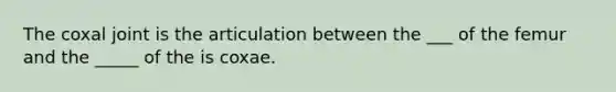 The coxal joint is the articulation between the ___ of the femur and the _____ of the is coxae.