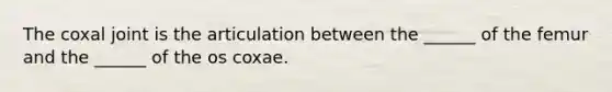 The coxal joint is the articulation between the ______ of the femur and the ______ of the os coxae.