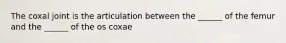 The coxal joint is the articulation between the ______ of the femur and the ______ of the os coxae