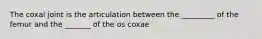 The coxal joint is the articulation between the _________ of the femur and the _______ of the os coxae