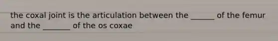 the coxal joint is the articulation between the ______ of the femur and the _______ of the os coxae