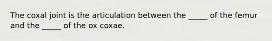 The coxal joint is the articulation between the _____ of the femur and the _____ of the ox coxae.