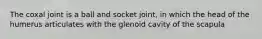 The coxal joint is a ball and socket joint, in which the head of the humerus articulates with the glenoid cavity of the scapula