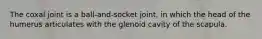 The coxal joint is a ball-and-socket joint, in which the head of the humerus articulates with the glenoid cavity of the scapula.