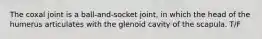 The coxal joint is a ball-and-socket joint, in which the head of the humerus articulates with the glenoid cavity of the scapula. T/F
