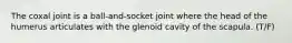 The coxal joint is a ball-and-socket joint where the head of the humerus articulates with the glenoid cavity of the scapula. (T/F)