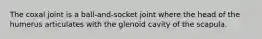 The coxal joint is a ball-and-socket joint where the head of the humerus articulates with the glenoid cavity of the scapula.