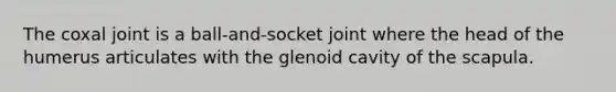 The coxal joint is a ball-and-socket joint where the head of the humerus articulates with the glenoid cavity of the scapula.