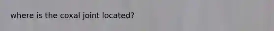 where is the coxal joint located?