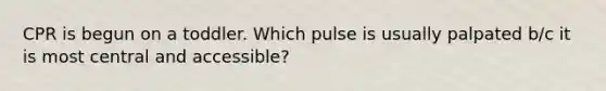 CPR is begun on a toddler. Which pulse is usually palpated b/c it is most central and accessible?