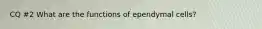 CQ #2 What are the functions of ependymal cells?