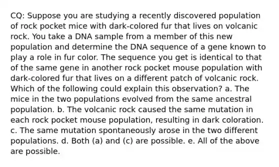 CQ: Suppose you are studying a recently discovered population of rock pocket mice with dark-colored fur that lives on volcanic rock. You take a DNA sample from a member of this new population and determine the DNA sequence of a gene known to play a role in fur color. The sequence you get is identical to that of the same gene in another rock pocket mouse population with dark-colored fur that lives on a different patch of volcanic rock. Which of the following could explain this observation? a. The mice in the two populations evolved from the same ancestral population. b. The volcanic rock caused the same mutation in each rock pocket mouse population, resulting in dark coloration. c. The same mutation spontaneously arose in the two different populations. d. Both (a) and (c) are possible. e. All of the above are possible.