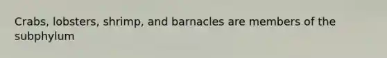 Crabs, lobsters, shrimp, and barnacles are members of the subphylum