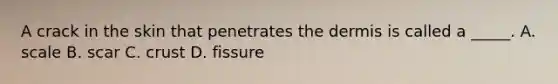 A crack in the skin that penetrates <a href='https://www.questionai.com/knowledge/kEsXbG6AwS-the-dermis' class='anchor-knowledge'>the dermis</a> is called a _____. A. scale B. scar C. crust D. fissure