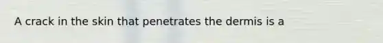 A crack in the skin that penetrates the dermis is a