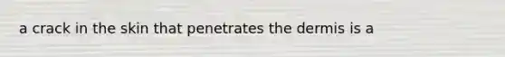 a crack in the skin that penetrates the dermis is a