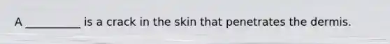 A __________ is a crack in the skin that penetrates the dermis.