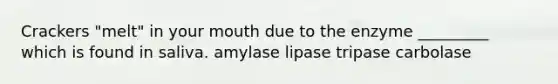 Crackers "melt" in your mouth due to the enzyme _________ which is found in saliva. amylase lipase tripase carbolase