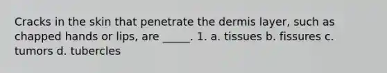 Cracks in the skin that penetrate the dermis layer, such as chapped hands or lips, are _____. 1. a. tissues b. fissures c. tumors d. tubercles