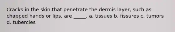 Cracks in the skin that penetrate the dermis layer, such as chapped hands or lips, are _____. a. tissues b. fissures c. tumors d. tubercles