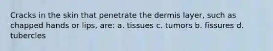 Cracks in the skin that penetrate the dermis layer, such as chapped hands or lips, are: a. tissues c. tumors b. fissures d. tubercles