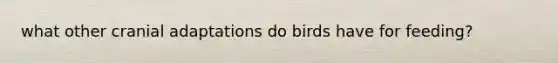 what other cranial adaptations do birds have for feeding?