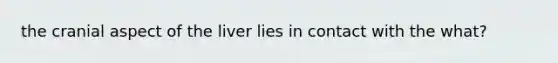 the cranial aspect of the liver lies in contact with the what?