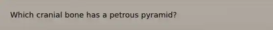 Which cranial bone has a petrous pyramid?