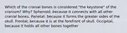 Which of the cranial bones is considered "the keystone" of the cranium? Why? Sphenoid; because it connects with all other cranial bones. Parietal; because it forms the greater sides of the skull. Frontal; because it is at the forefront of skull. Occipital; because it holds all other bones together