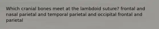 Which cranial bones meet at the lambdoid suture? frontal and nasal parietal and temporal parietal and occipital frontal and parietal