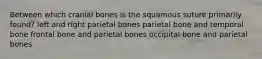 Between which cranial bones is the squamous suture primarily found? left and right parietal bones parietal bone and temporal bone frontal bone and parietal bones occipital bone and parietal bones