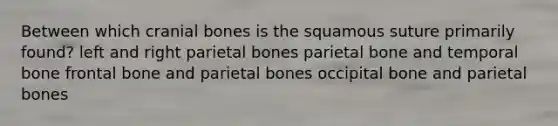 Between which cranial bones is the squamous suture primarily found? left and right parietal bones parietal bone and temporal bone frontal bone and parietal bones occipital bone and parietal bones