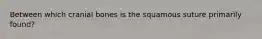 Between which cranial bones is the squamous suture primarily found?