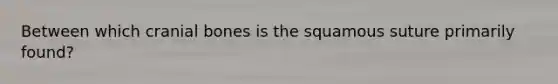 Between which cranial bones is the squamous suture primarily found?