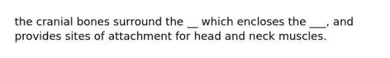 the cranial bones surround the __ which encloses the ___, and provides sites of attachment for head and neck muscles.