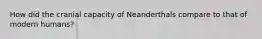 How did the cranial capacity of Neanderthals compare to that of modern humans?